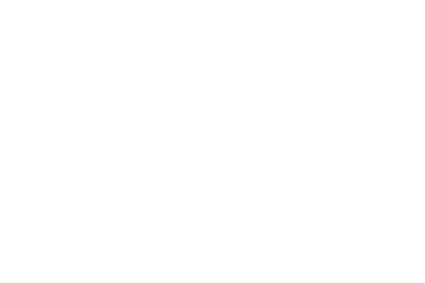 Destructive Creations