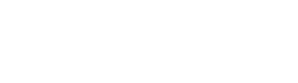 Flashbulb