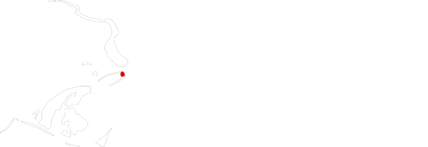 Toadman Interactive