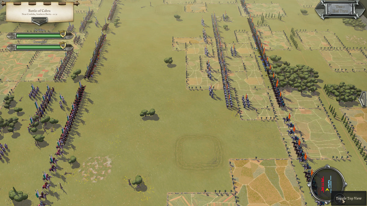 Field of Glory II: Medieval - Reconquista