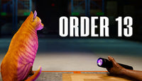 ORDER 13