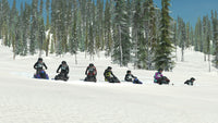 Sledders