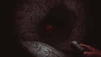 Dark Canvas: A Brush With Death Collector's Edition
