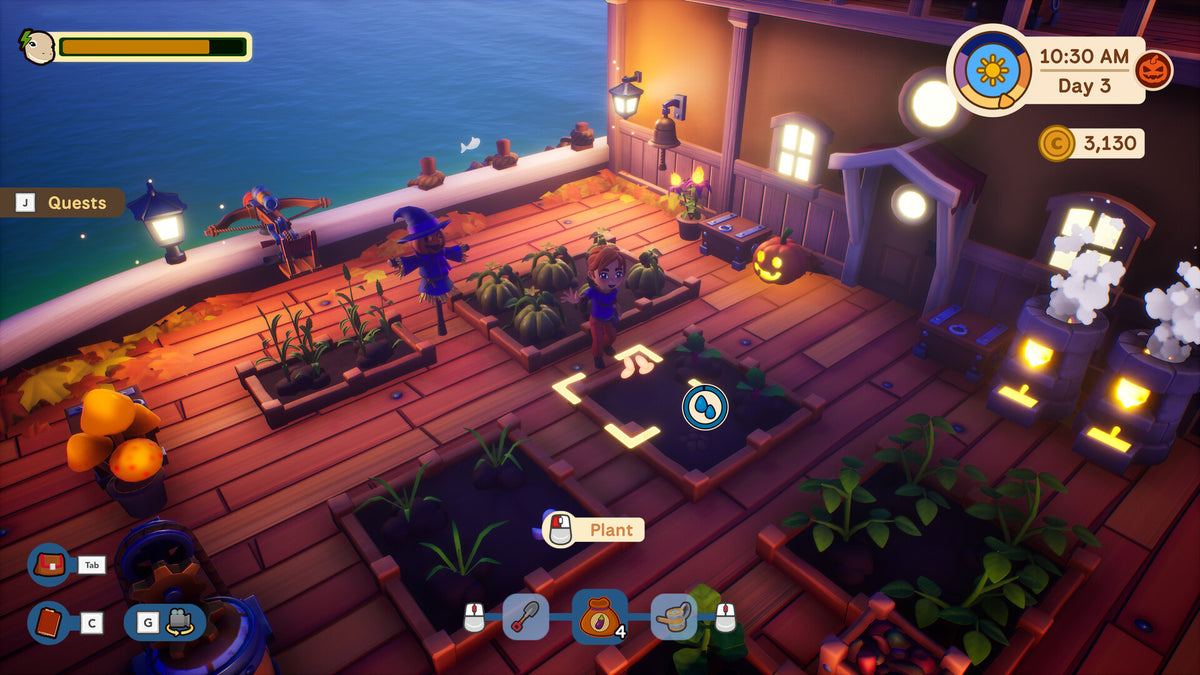 Collector's Cove