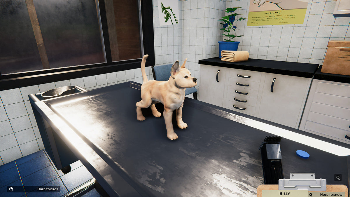 Animal Shelter - Puppies & Kittens DLC