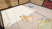Animal Shelter - Puppies & Kittens DLC