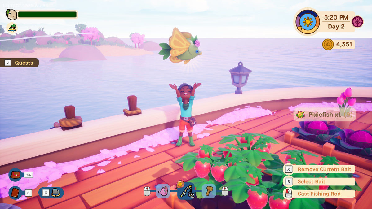 Collector's Cove