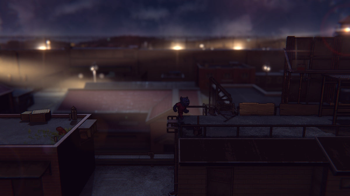Back to the Dawn