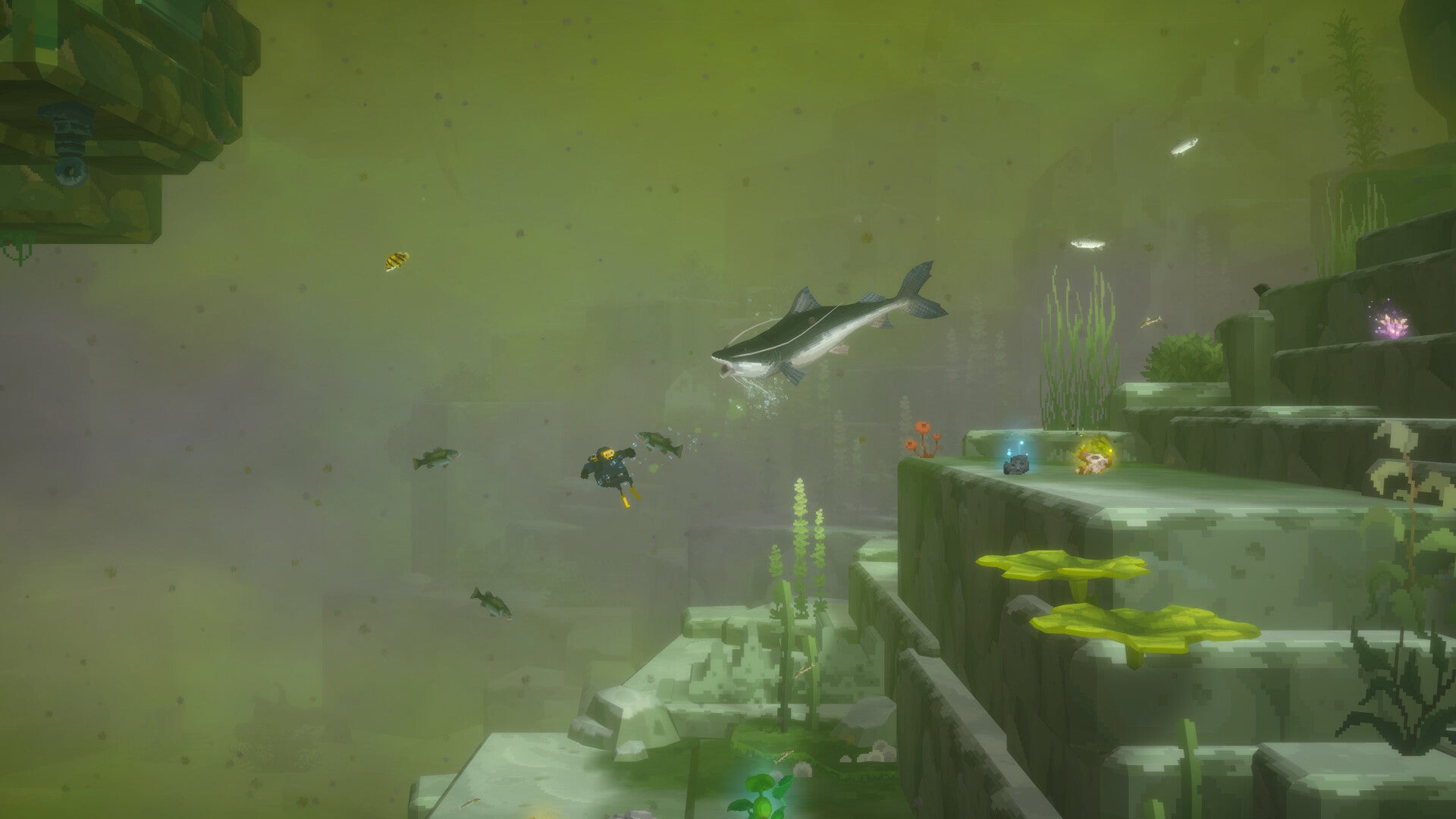 DAVE THE DIVER - In the Jungle Content Pack