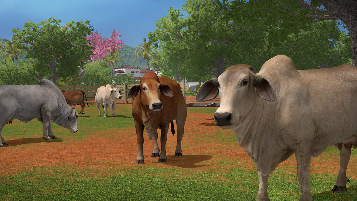 Farming Simulator 17 - Platinum Expansion