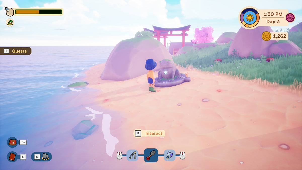 Collector's Cove